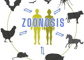 Penguatan Riset dan Kolaborasi One Health untuk Pencegahan Penyakit Zoonosis dan Emerging