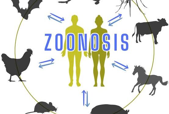 Penguatan Riset dan Kolaborasi One Health untuk Pencegahan Penyakit Zoonosis dan Emerging