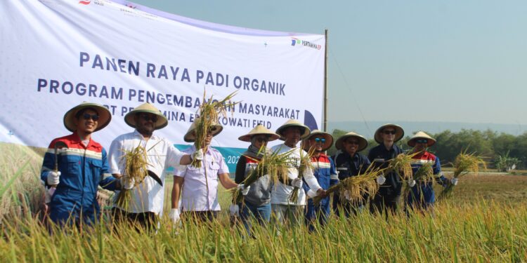 PEPC JTB Atasi Permasalahan Sampah Sekaligus Berdayakan Ekonomi Warga Lokal