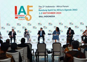 Menjajaki Peluang Kolaborasi Pengembangan Energi di Afrika