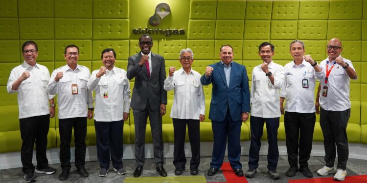 Tanzania Berminat Belajar Hulu Migas dari Indonesia