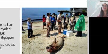 Panduan Eksplorasi dan Eksploitasi Migas Perlu Dibuat untuk Cegah Terdamparnya Ikan Paus dan Pencemaran Laut