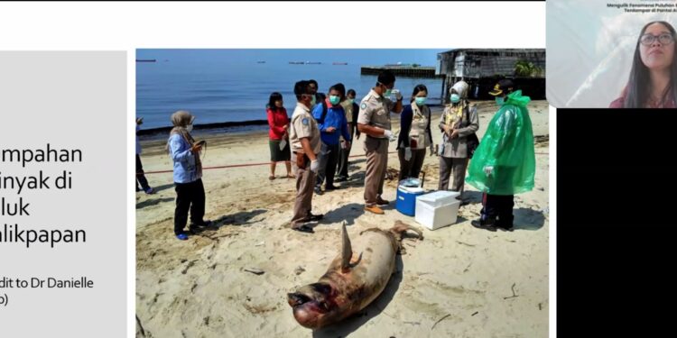 Panduan Eksplorasi dan Eksploitasi Migas Perlu Dibuat untuk Cegah Terdamparnya Ikan Paus dan Pencemaran Laut