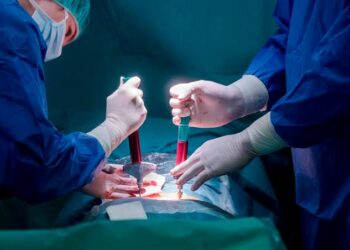 Terbukti, Sel Punca Bisa Jadi Terapi Penyakit Regeneratif