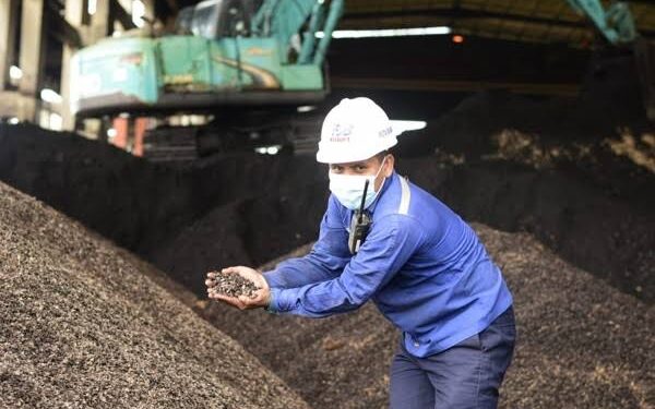 Co-firing Tidak Saja Tekan Emisi Karbon Tapi Bisa Berdayakan Ekonomi Kerakyatan