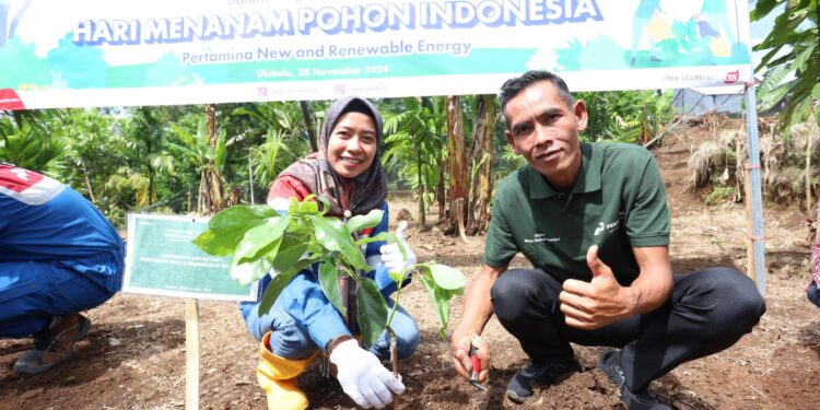 Aksi Penghijauan Pertamina NRE di Lahan Kritis Ulubelu