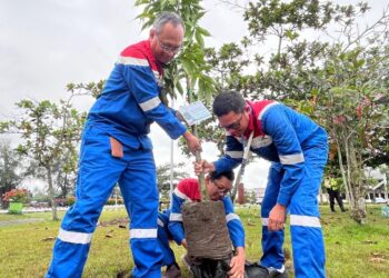 Aksi Penghijauan PHR di Peringatan Hari Pohon Sedunia