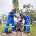 Aksi Penghijauan PHR di Peringatan Hari Pohon Sedunia