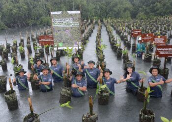 Aksi Gerakan Penghijauan Pertamina Drilling di Pesisir Jakut