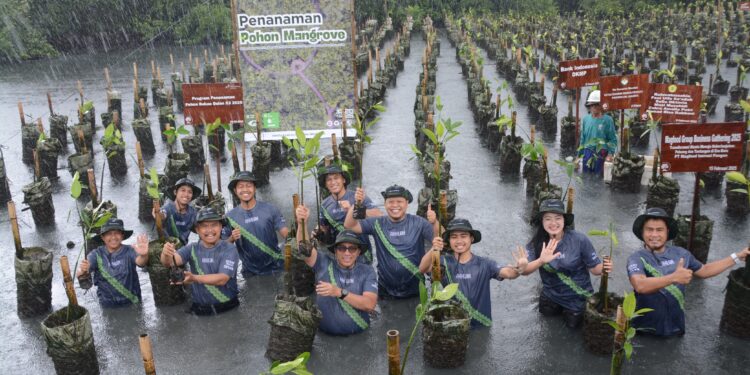 Aksi Gerakan Penghijauan Pertamina Drilling di Pesisir Jakut