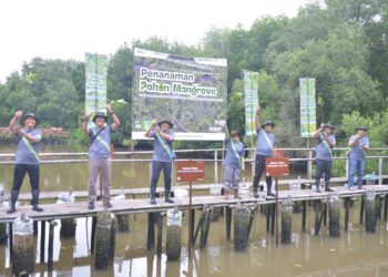 Gerakan PDC Tanam 1.000 Pohon Mangrove di Pesisir Utara Jakarta