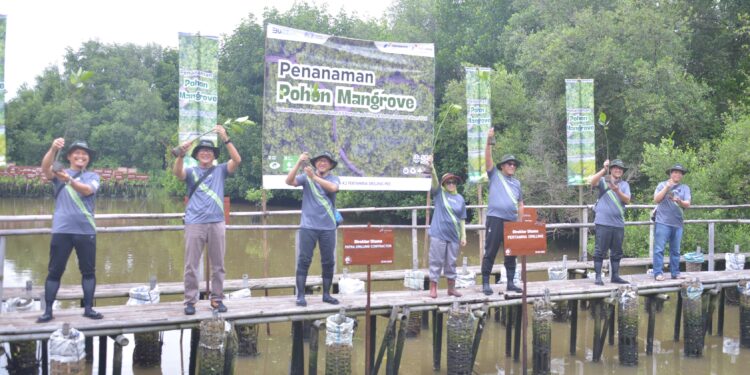 Gerakan PDC Tanam 1.000 Pohon Mangrove di Pesisir Utara Jakarta