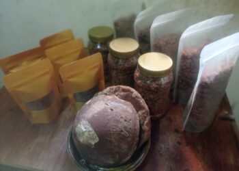 Mahasiswa UPER Sulap Buah Lontar Jadi Pemanis Alami