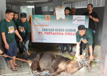 Wujud Kepedulian, Pertamina Drilling Salurkan 16 Hewan Kurban 