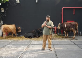 PDC Berbagi Keberkahan Saat Hari Raya Qurban di Seluruh Wilayah Operasi 