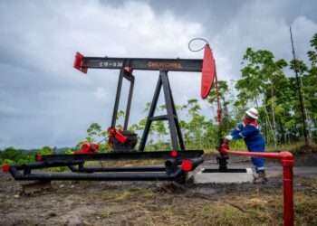 Pertamina EP dan RH Petrogas Siap Eksplorasi Migas di Papua Barat Daya di Tengah Kunjungan Menteri ESDM