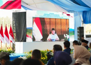 Sah! Presiden Resmikan Operasi Komersial PLTP Ijen dan PLTS Bali Timur