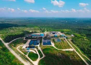 Praktisi Migas: Bupati Siak Selayaknya Turut Menentukan Pemilihan Dirut Bumi Siak Pusako