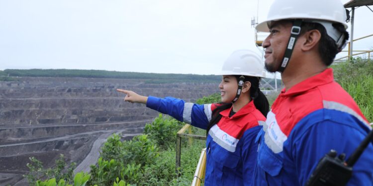 Elnusa Tuntaskan Survei Seismik 3D dan Multi-2D Tambang Batubara di Kalsel