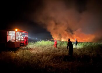Sinergi Tim Tanggap Darurat Kebakaran PHR dengan Stakeholders Berhasil Padamkan Api Karhutla Rohil