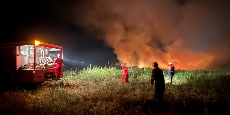 Sinergi Tim Tanggap Darurat Kebakaran PHR dengan Stakeholders Berhasil Padamkan Api Karhutla Rohil