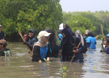 Universitas Pertamina Masuk Ranking Dunia