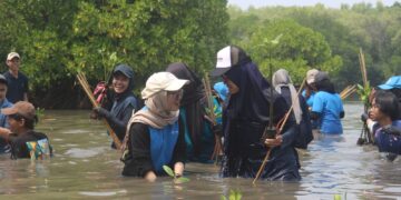 Universitas Pertamina Masuk Ranking Dunia