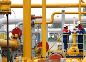Pertagas Genjot Realisasi Infrastruktur Energi