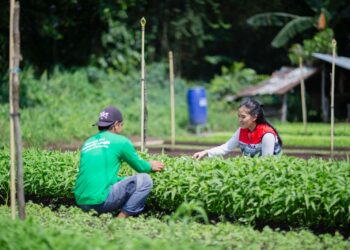 Pertagas Kembangkan Ekonomi Masyarakat Pedesaan