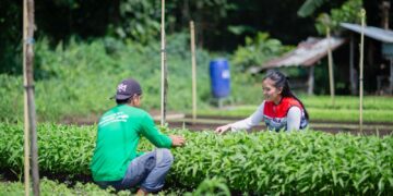 Pertagas Kembangkan Ekonomi Masyarakat Pedesaan