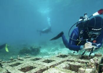 Harita Nickel Tekankan Efisiensi Operasi untuk Keberlanjutan