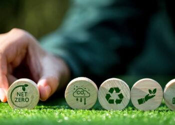 Menakar Komitmen Pemerintah Mencapai Net Zero Emission