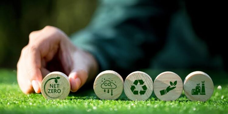 Menakar Komitmen Pemerintah Mencapai Net Zero Emission