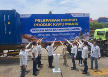 Manisnya Ekspor Kayu Manis Agro Santara Indonesia