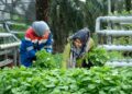 Pertagas Raih 4 Penghargaan Internasional