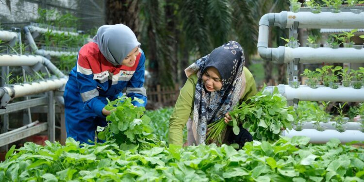 Pertagas Raih 4 Penghargaan Internasional