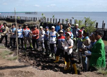 Gerakan UPER, Industri dan Pemda Tanam Mangrove di Pesisir Mundam-Dumai, Riau
