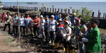 Gerakan UPER, Industri dan Pemda Tanam Mangrove di Pesisir Mundam-Dumai, Riau