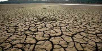 Reformasi Sistemik Harus Dilakukan Pemerintah Atasi Krisis Iklim