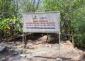 Menyulap Lautan Sampah jadi Ekowisata Hutan Mangrove