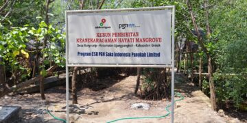 Menyulap Lautan Sampah jadi Ekowisata Hutan Mangrove