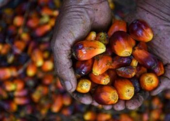 Mandatori B50 Segera Diimplementasikan