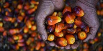 Mandatori B50 Segera Diimplementasikan