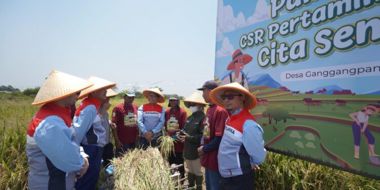 PT Pertagas Dukung Kedaulatan Pangan Nasional