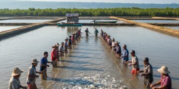 Kabar Gembira, Tambak Mangrak Seluas DKI Jakarta Plus Bekasi Segera Direvitalisasi!