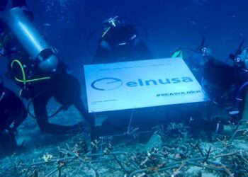 Melestarikan Ekosistem Laut Melalui Gerakan Tanam Bibit Terumbu Karang