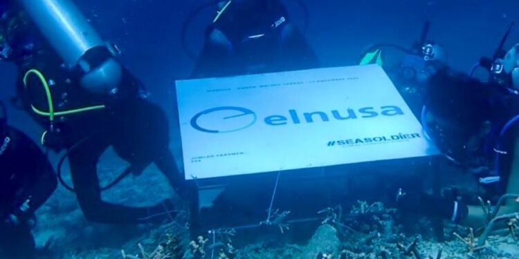 Melestarikan Ekosistem Laut Melalui Gerakan Tanam Bibit Terumbu Karang