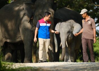 Begini Strategi PHE Menjaga Keseimbangan Alam Seraya Operasikan Migas