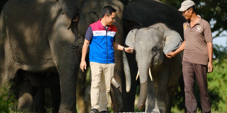 Begini Strategi PHE Menjaga Keseimbangan Alam Seraya Operasikan Migas