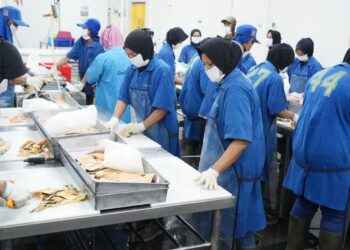 Investasi Sektor Perikanan Banjir Insentif dan Dukungan